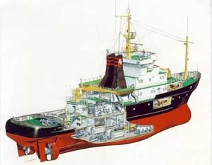 NEPTUN GOTIA
